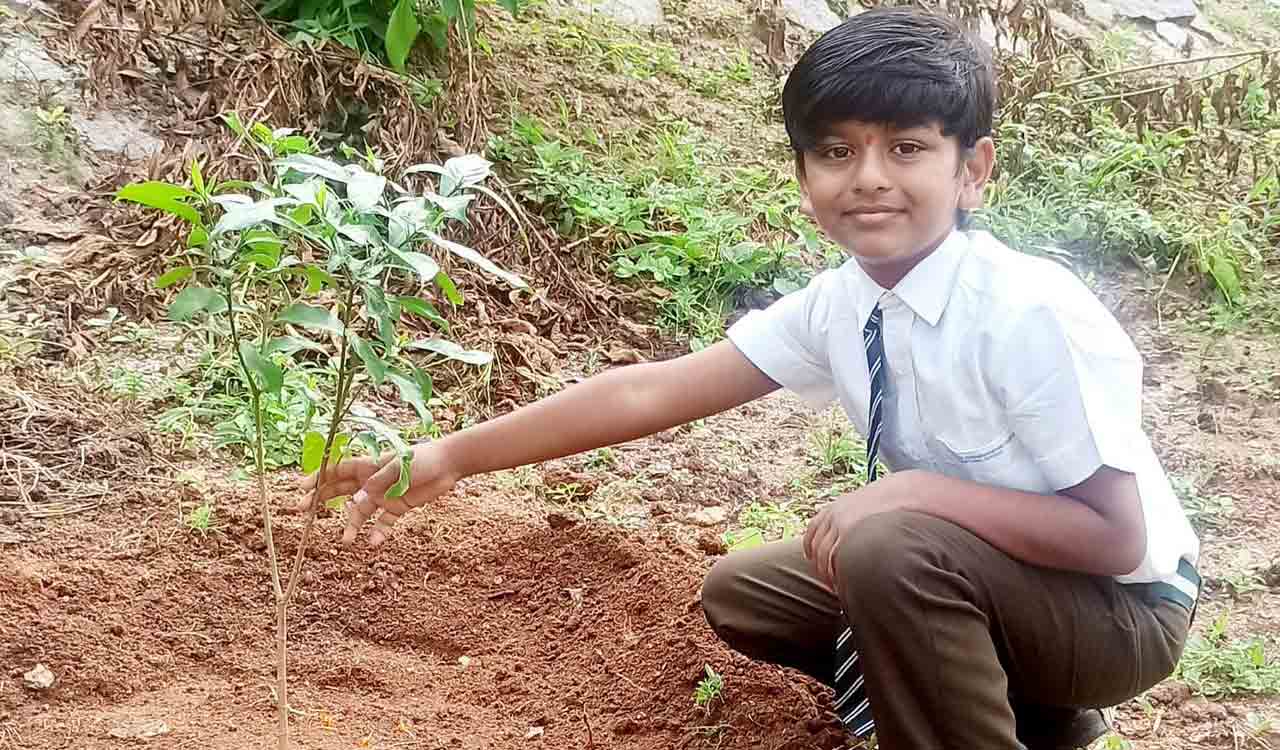 Child artist Dhruvan plants sapling as part of Green India Challenge