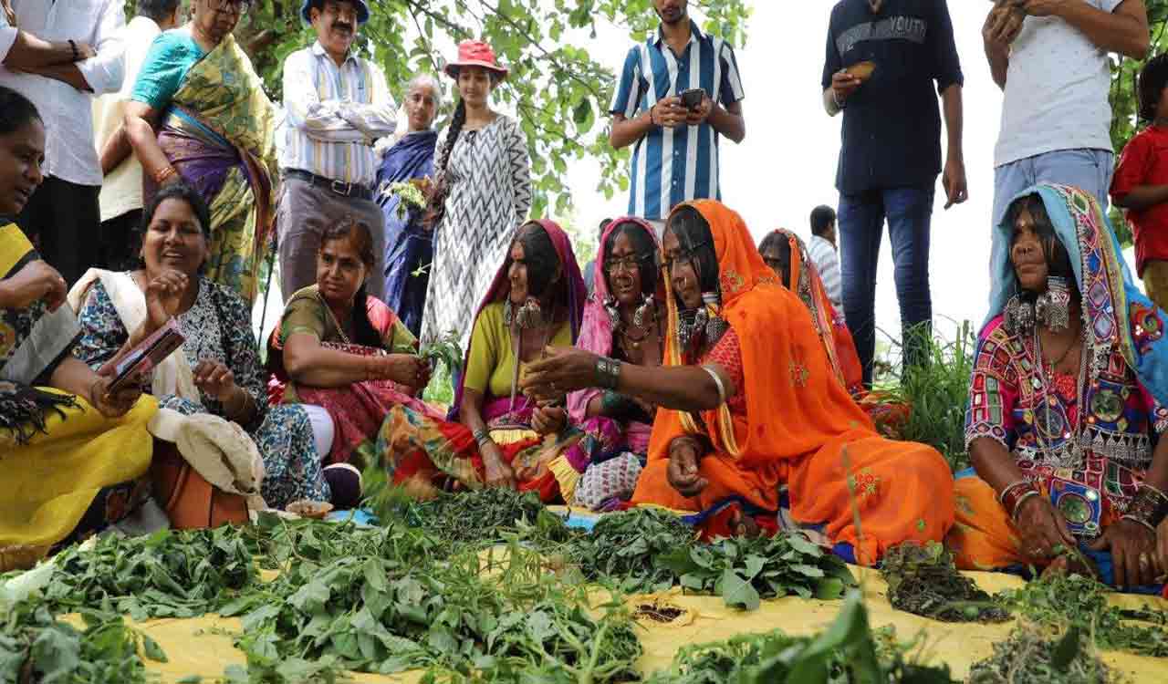 Telangana: DDS opens expo of uncultivated leafy vegetables
