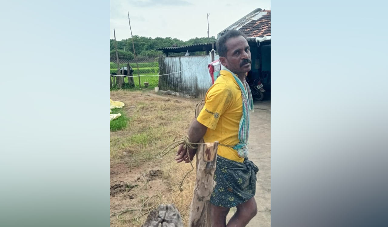 Dalit farmer beaten, abused for farm animal grazing paddy field in Mancherial