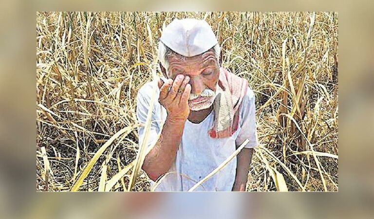 Farmers