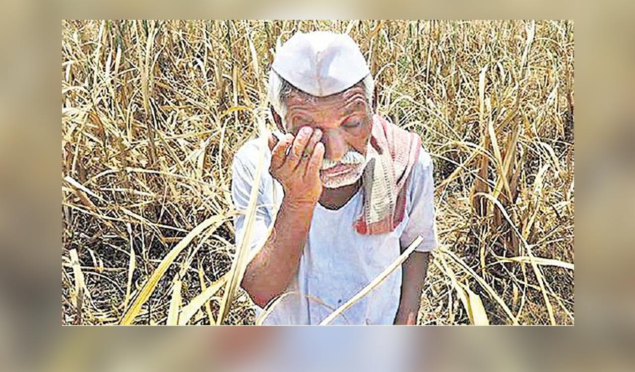 Maharashtra’s farmers prepare for battle against prepaid power meters
