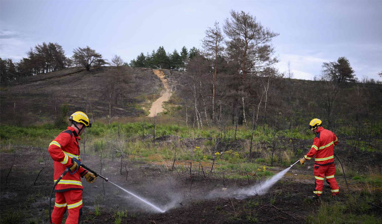 Over 600 firefighters battling Greece wildfires