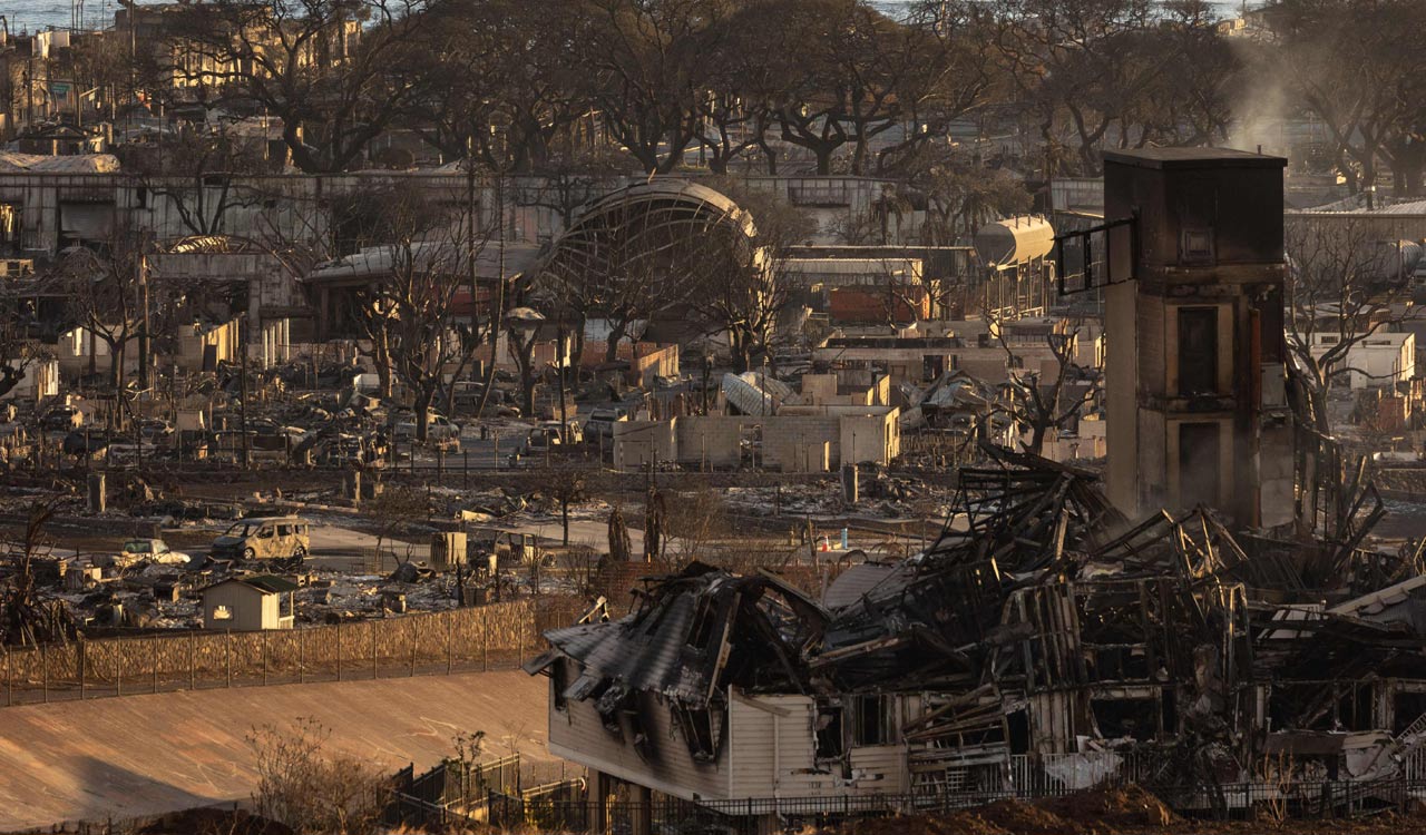 Hawaii wildfire: Death toll reaches 111