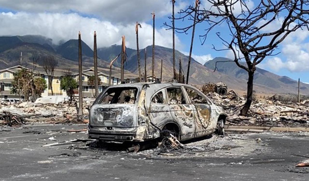 Death toll from Hawaii wildfires reach 114 as search for victims continues