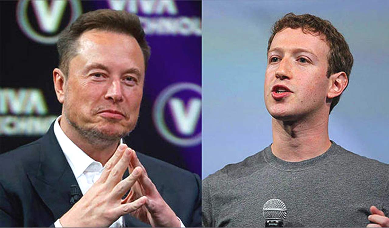 Elon Musk, Mark Zuckerberg cage fight possibly to be hosted in Italy?