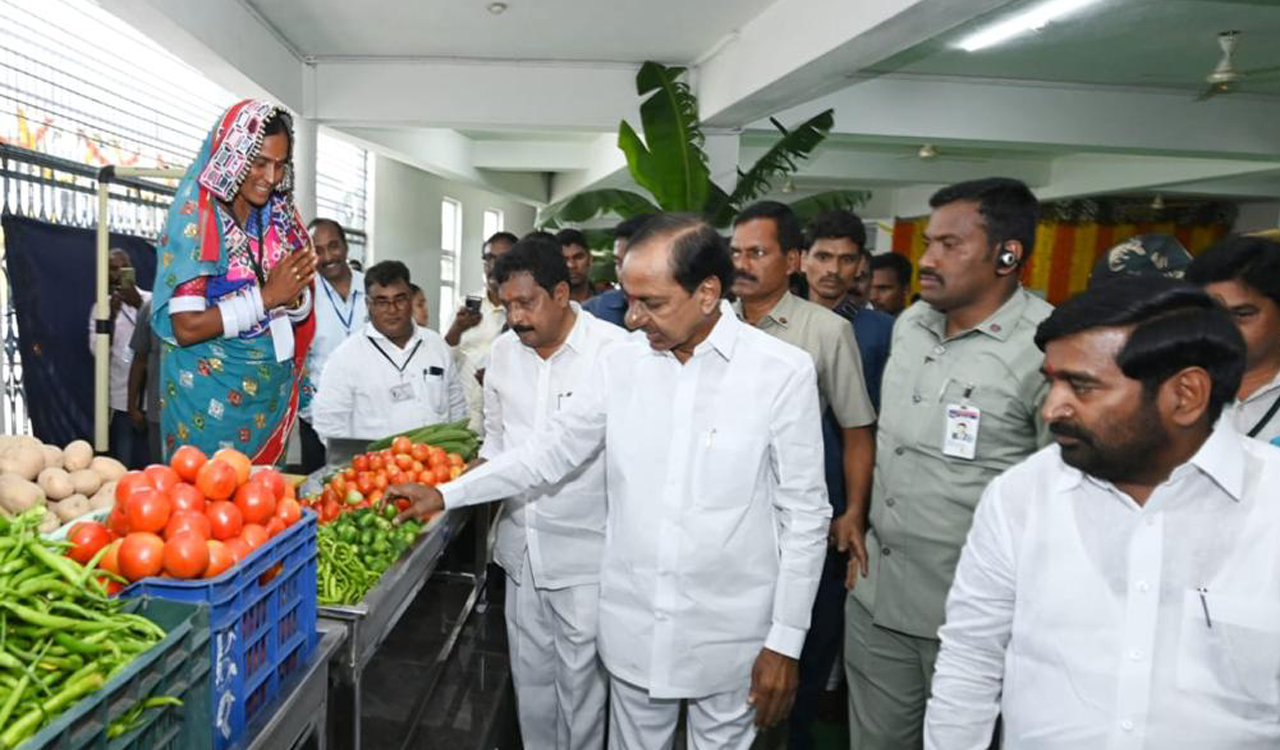 Collective efforts helped TS progress, says CM