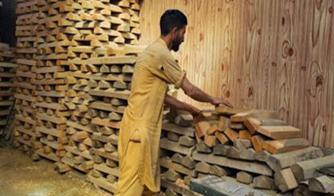 17 international cricketers to be use Kashmir willow bats during ODI World Cup