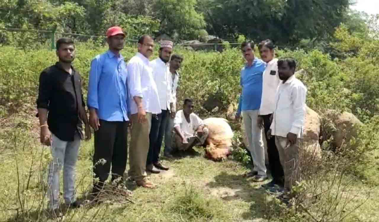 Man-animal conflict to the fore in Medak