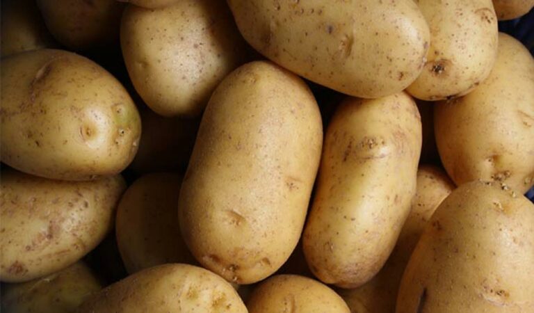 Potato