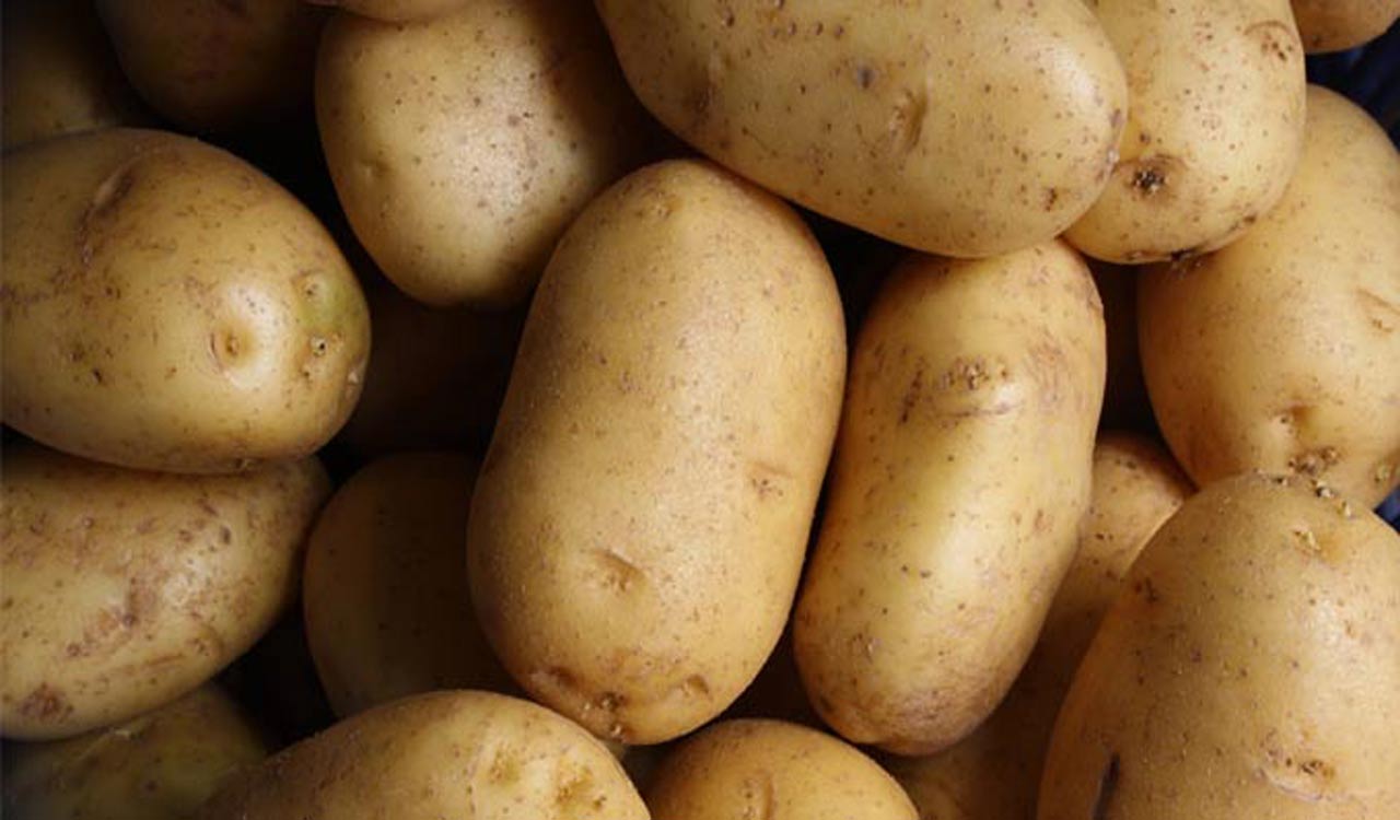 Restaurants in Hyderabad celebrate National Potato Day