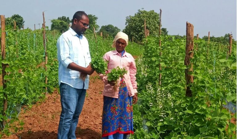 Siddipet Farmer