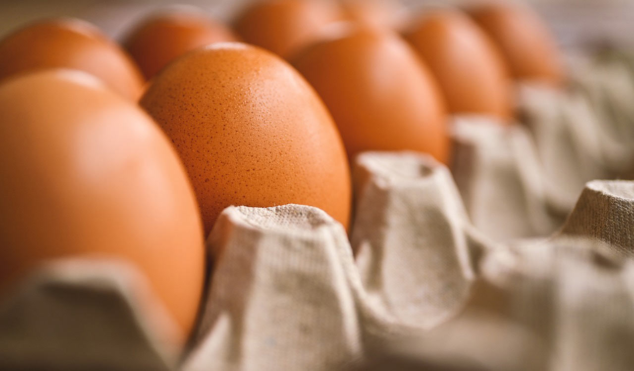 Sri Lanka to purchase more than 92 million eggs from India