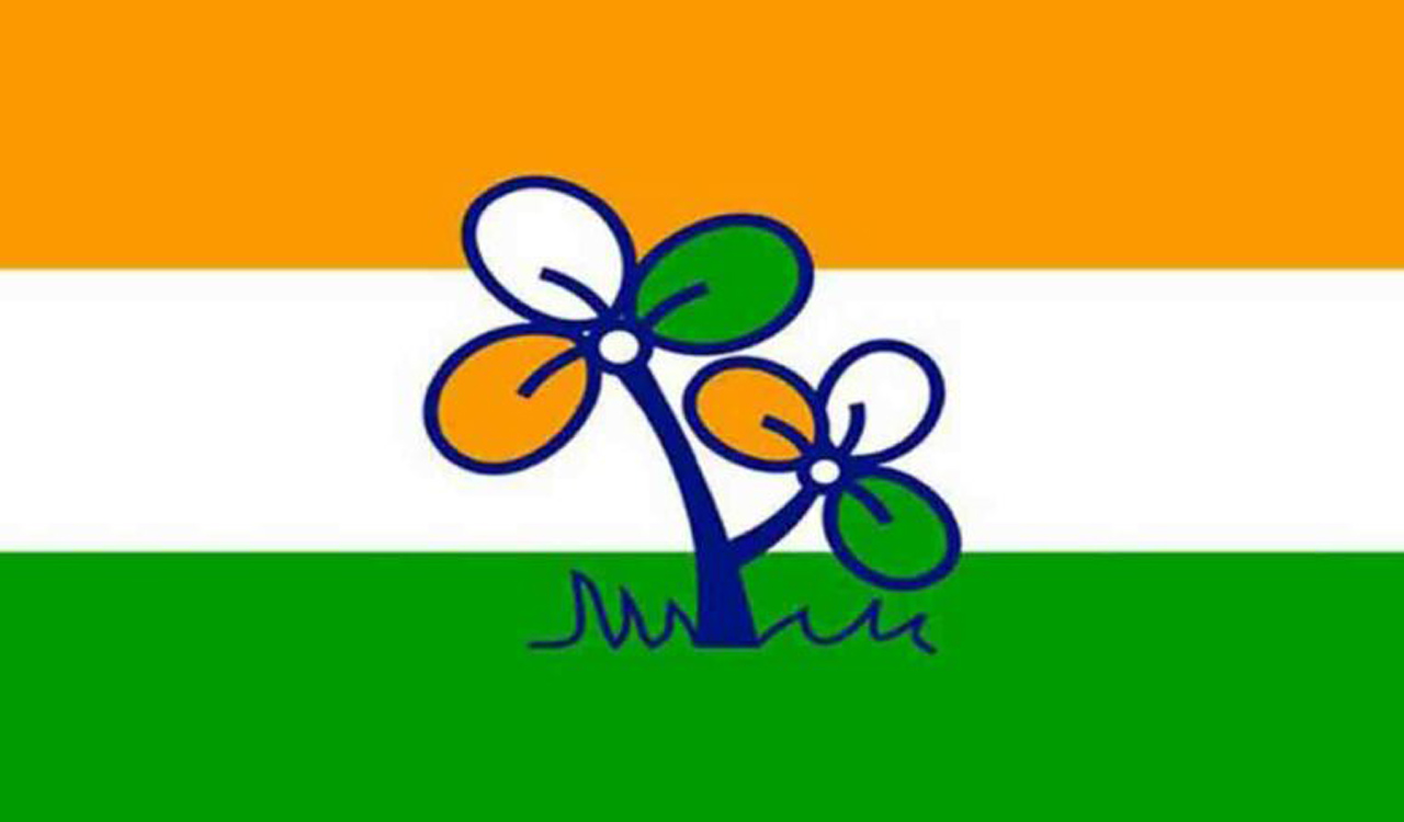 TMC alleges BJP goons indulged in Bengal rural poll violence and not its workers