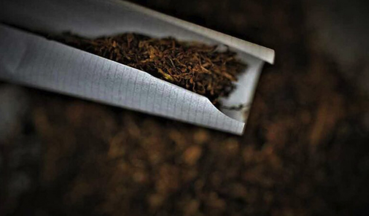 Delhi LG extends ban on manufacture, sale of tobacco products for one year