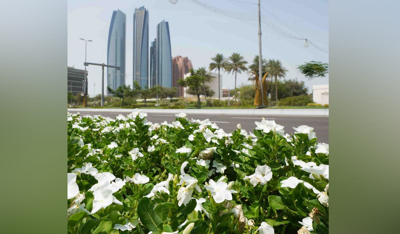 Abu Dhabi City Municipality successfully plants over 5 mn flowers