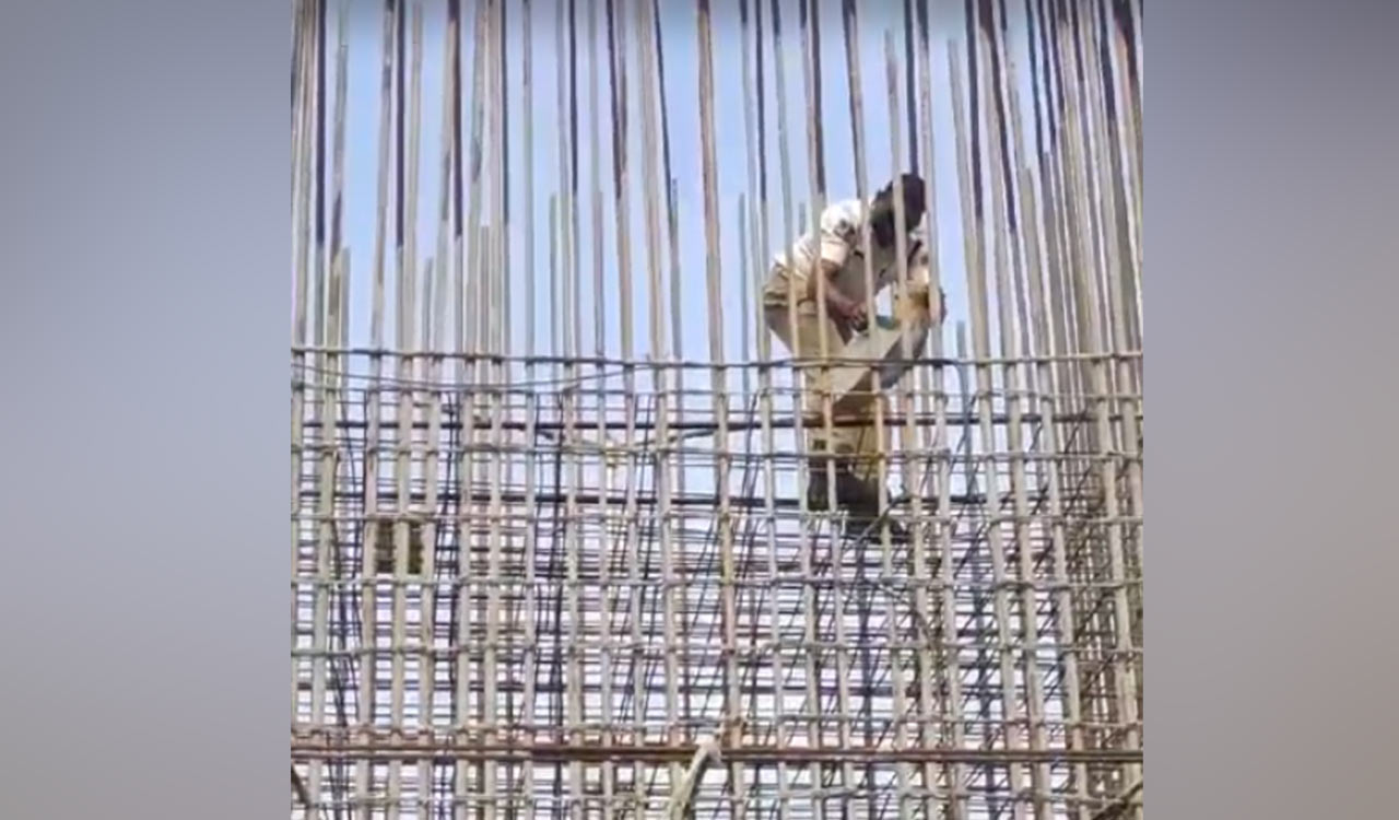 Hyderabad: Police constable rescues cat trapped in iron frame at Uppal