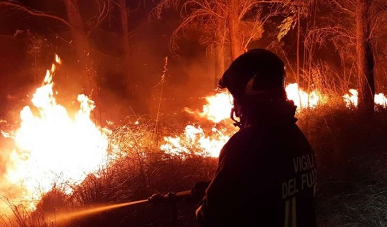 Industry association reports 60,000 hectares ravaged by wildfires in Italy this year