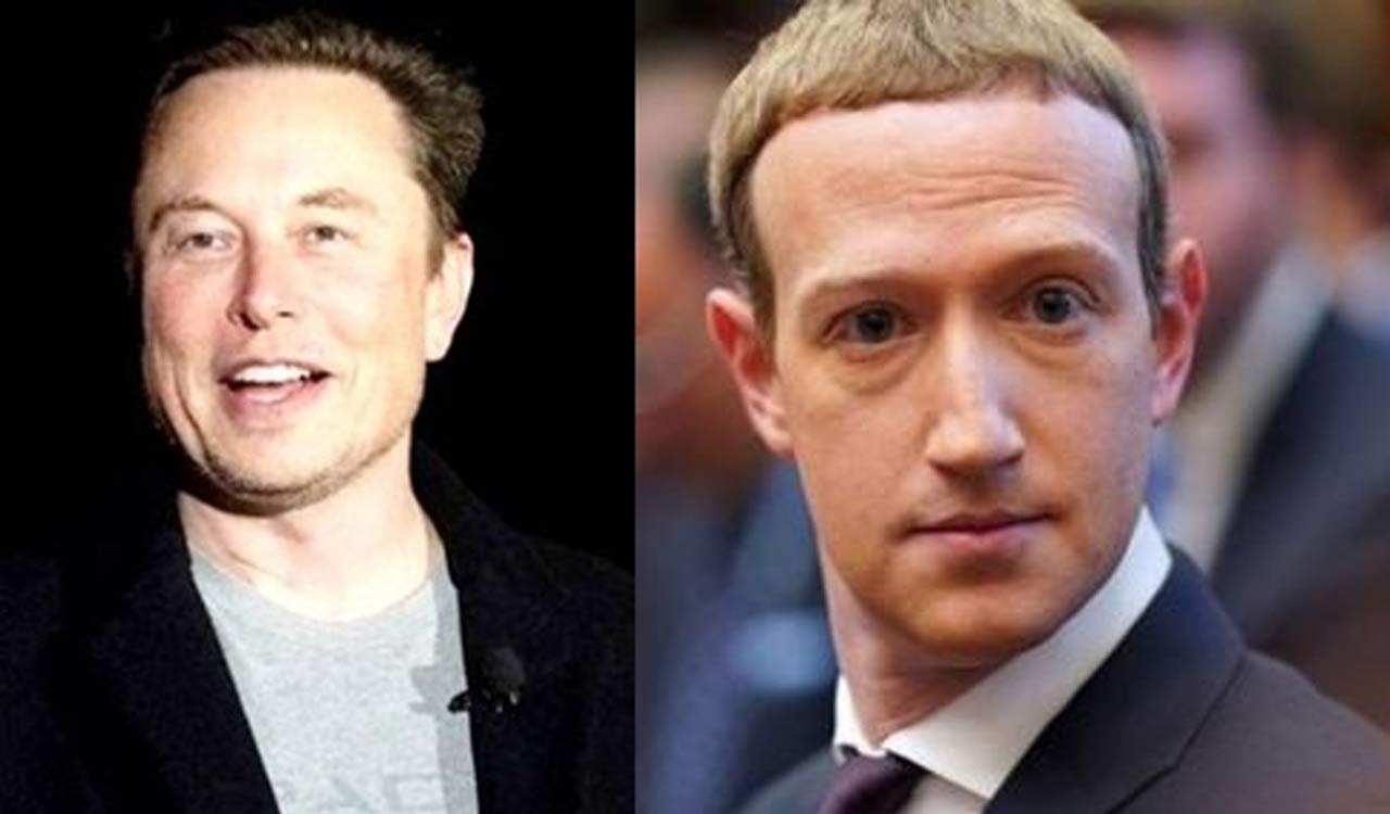 Zuckerberg declares readiness for cage fight, Musk responds