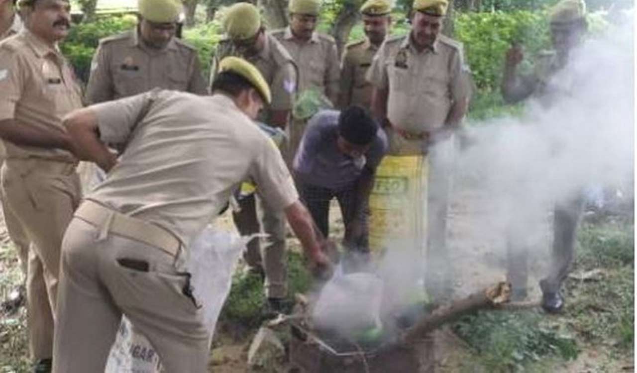 UP: 50 kilograms of contraband drugs incinerated in Sitapur