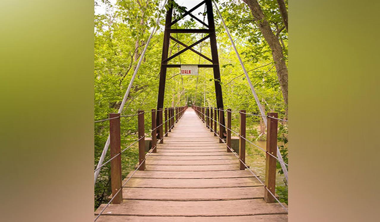 Arunachal Pradesh: Indian army, BRO inaugurate Bailey bridge in Anjaw district