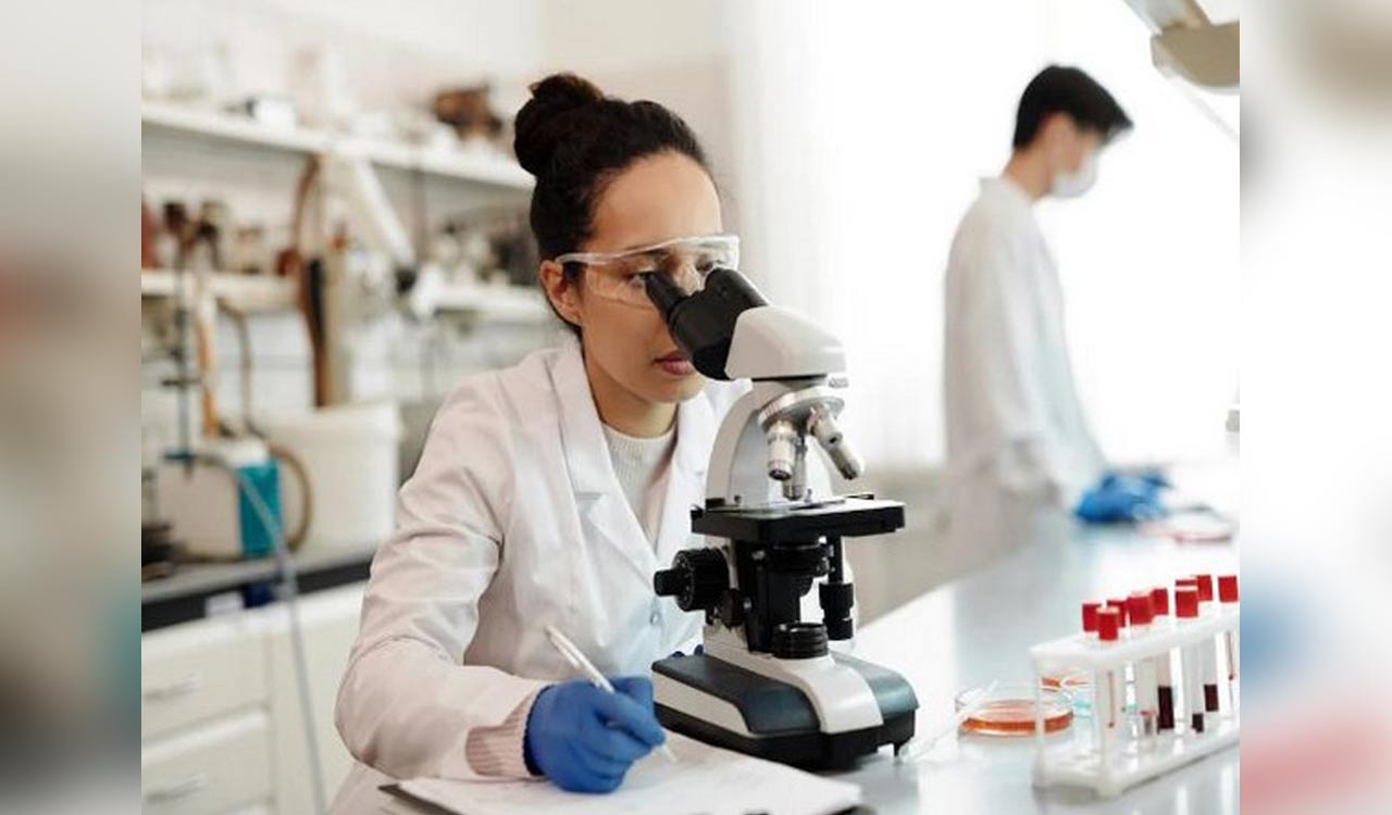 Study identifies novel approaches to combat antimicrobial resistance