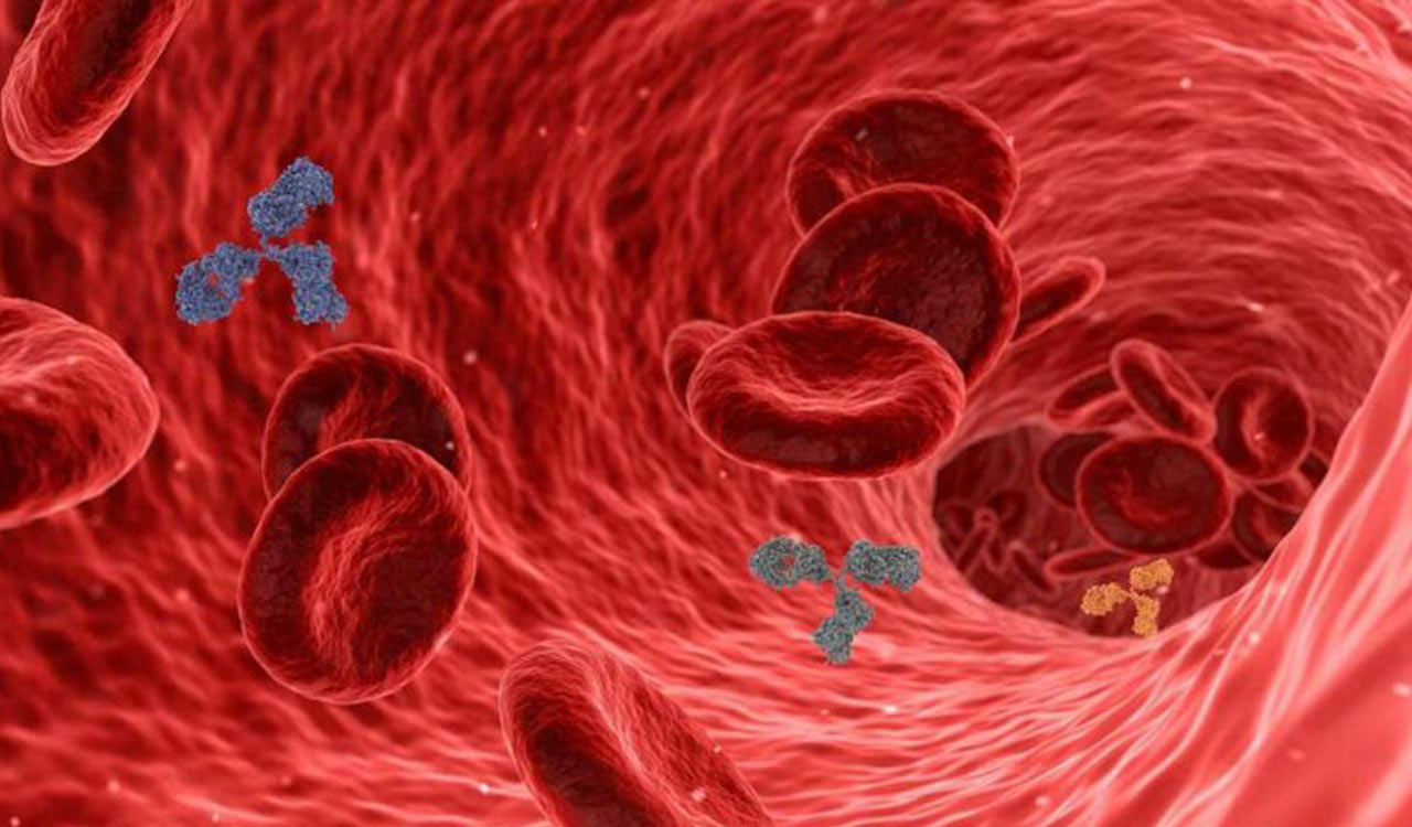 Teeth might preserve antibodies hundreds of years old: Study