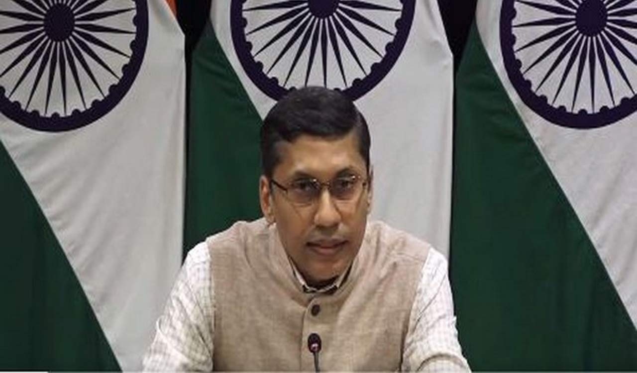 India in touch with German authorities in baby Ariha Shah case: MEA