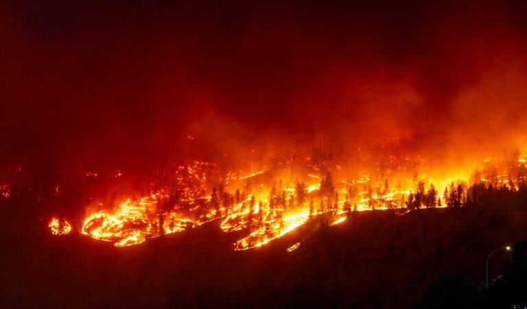 Wildfire