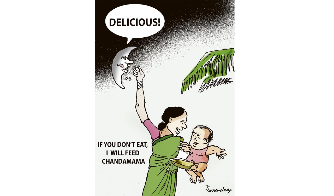 Cartoon: August 24, 2023