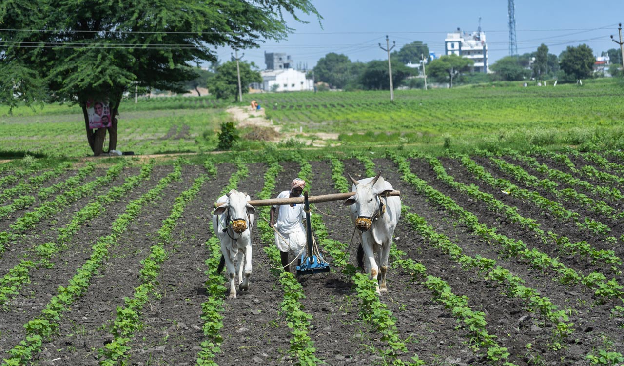 Telangana farmers back in action as rains stay away