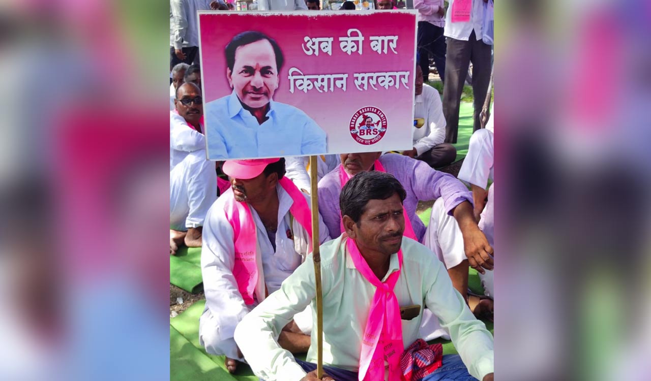 Maharashtra: Parbhani draped in pink as farmers take to roads