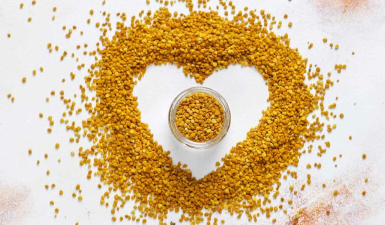 Fenugreek Seeds