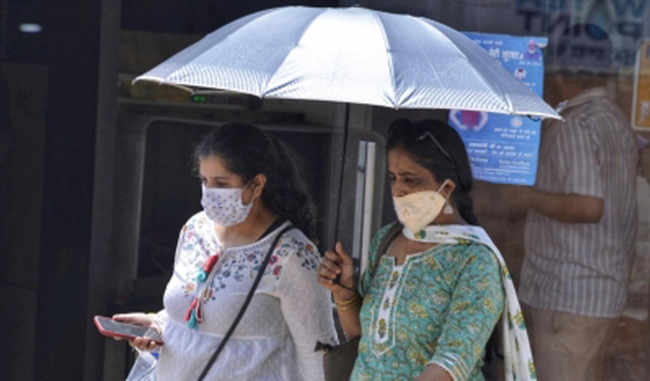 Deadly 2023 heatwave to become new norm in coming years: Study