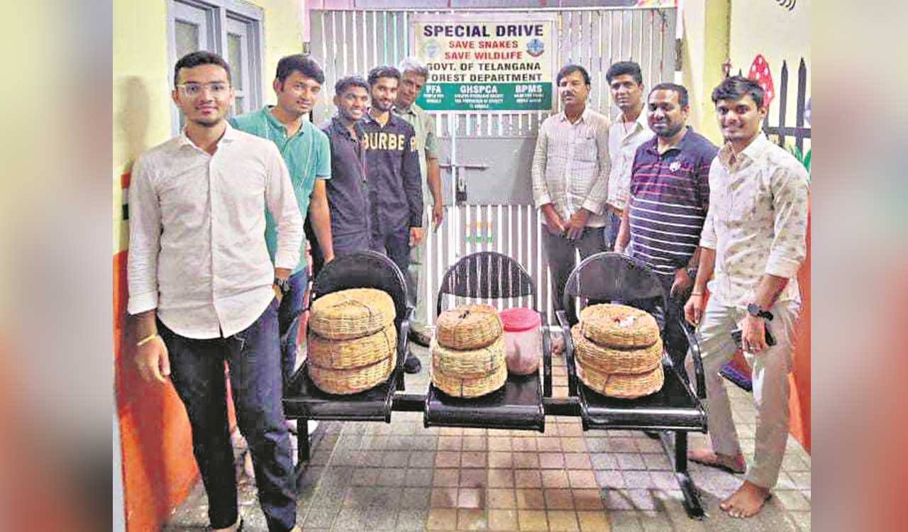 Nag Panchami: 10 cobras rescued from snake charmers in Hyderabad