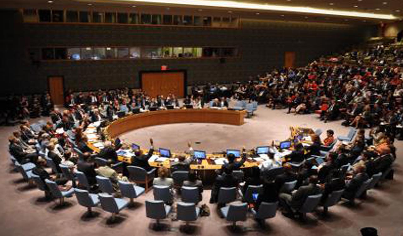 Russia vetoes renewal of Mali sanctions regime