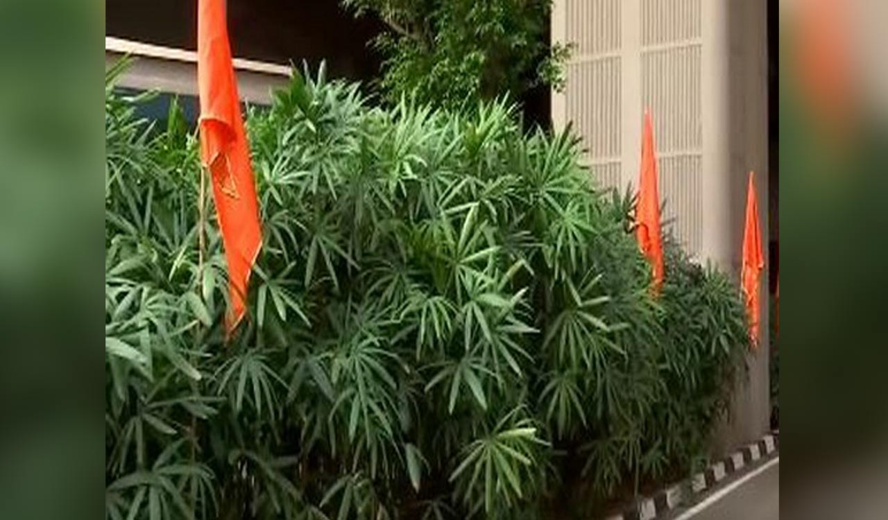 Uddhav faction puts up saffron flags outside Mumbai airport ahead of 3rd opposition meeting