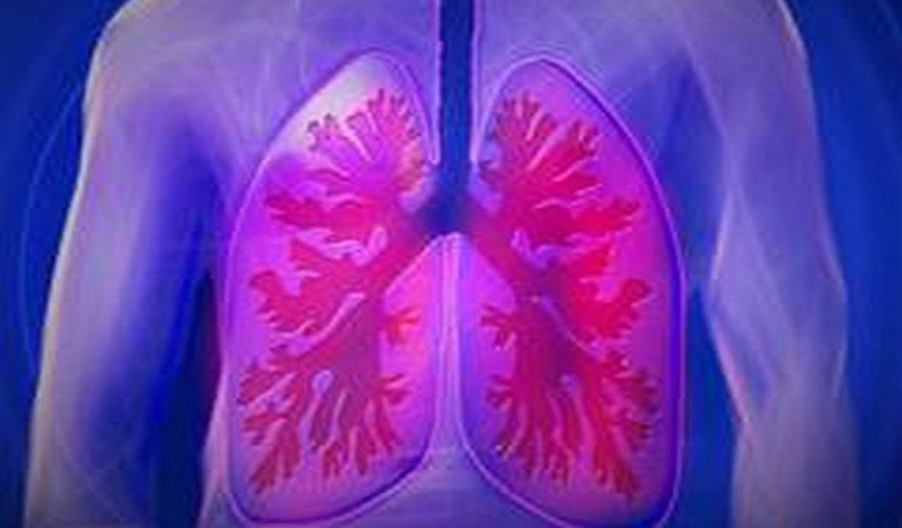 Study finds how people with low levels of vitamin K have less healthy lungs