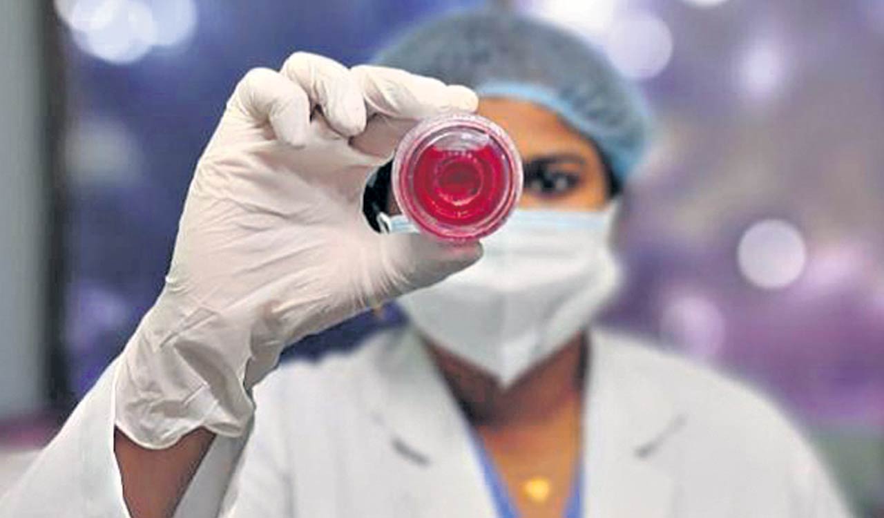 Ophthalmologists urge people to donate eyes