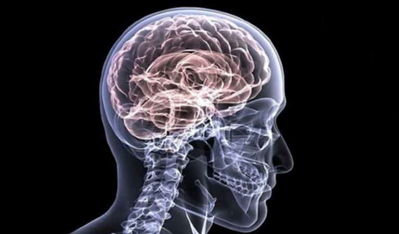 Researchers show how the visual system contributes to memory