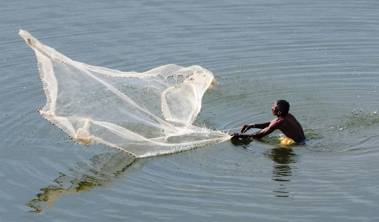 10 crore fingerlings to be released in 1,500 water bodies of Adilabad