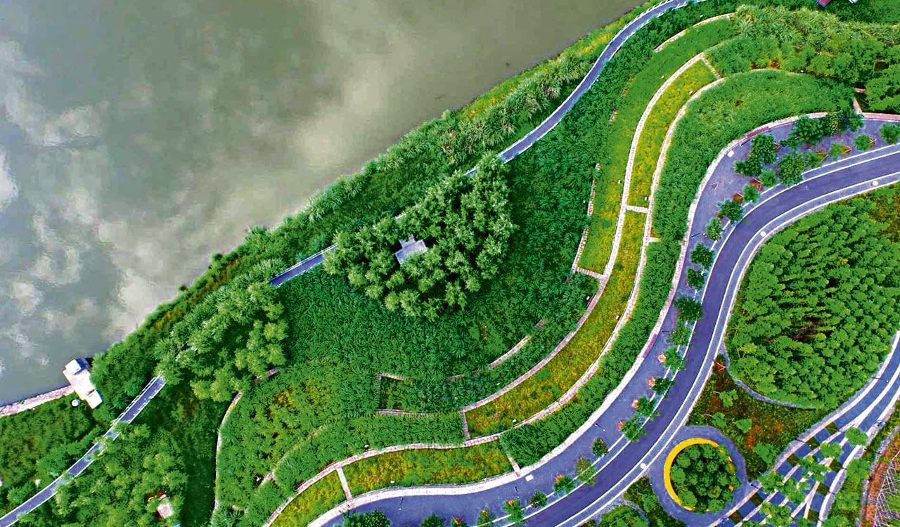 Opinion: Why we need sponge cities