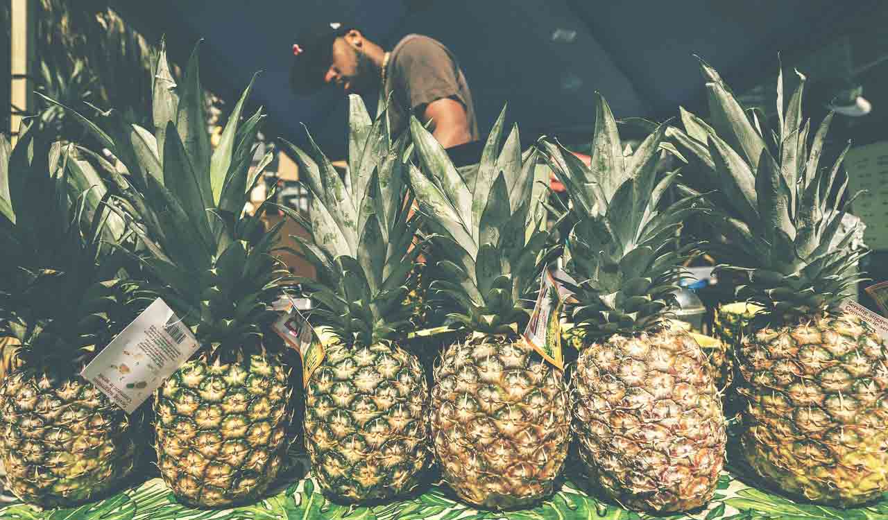 Meghalaya’s pineapples enjoying a bountiful harvest