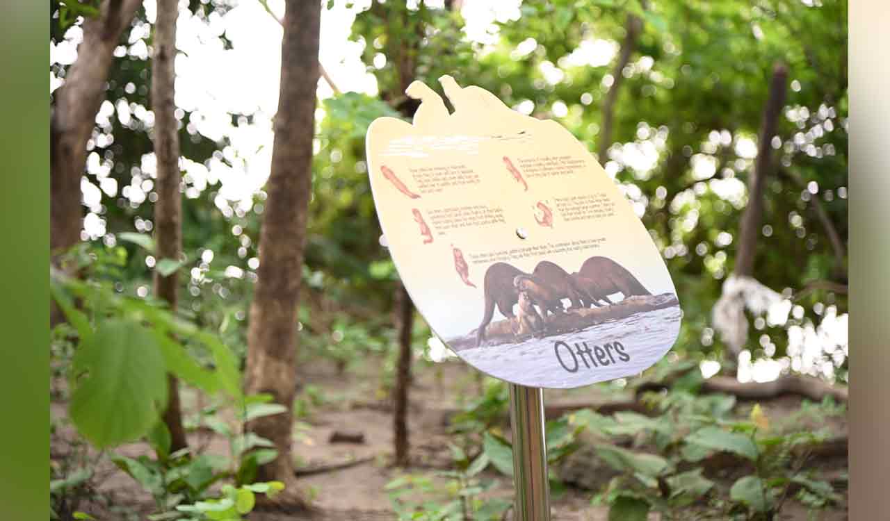 This trainee IAS officer’s efforts to beautify crocodile wildlife sanctuary in Mancherial draws tourists