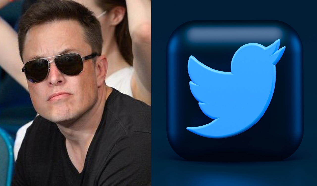 Musk’s leadership leads to 50% drop in environmentalists on Twitter