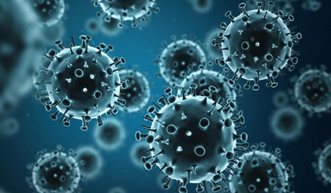 Antibody-based therapies may be effective in combating influenza B: Study