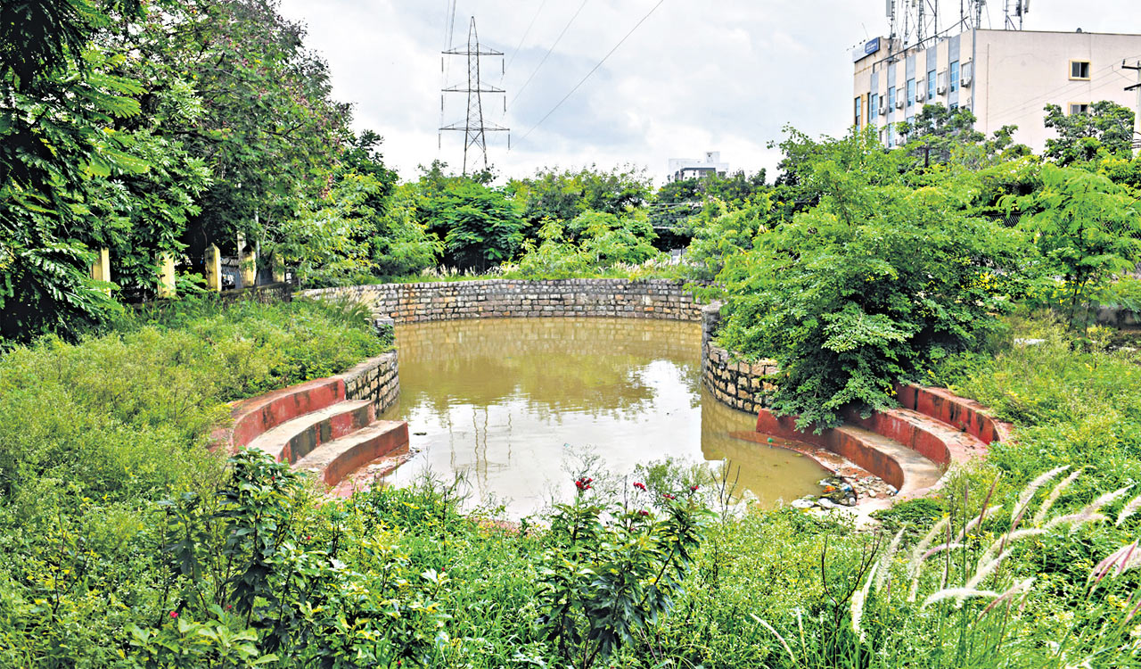 Once a dumpyard, this well in Hyderabad turns into eco-sensitive space