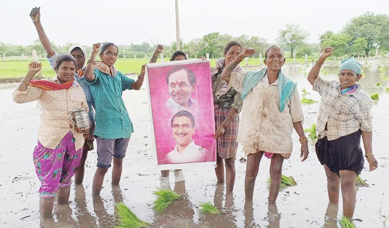 Medak farmers celebrate crop loan waiver