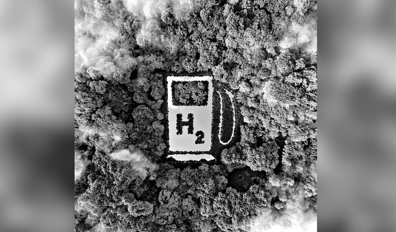 Opinion: A future with biofuels