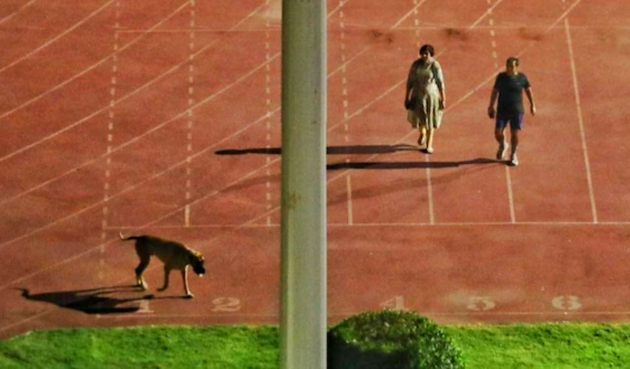 IAS officer  Rinku Dugga who emptied stadium to ‘walk her dog’ compulsorily retired by govt