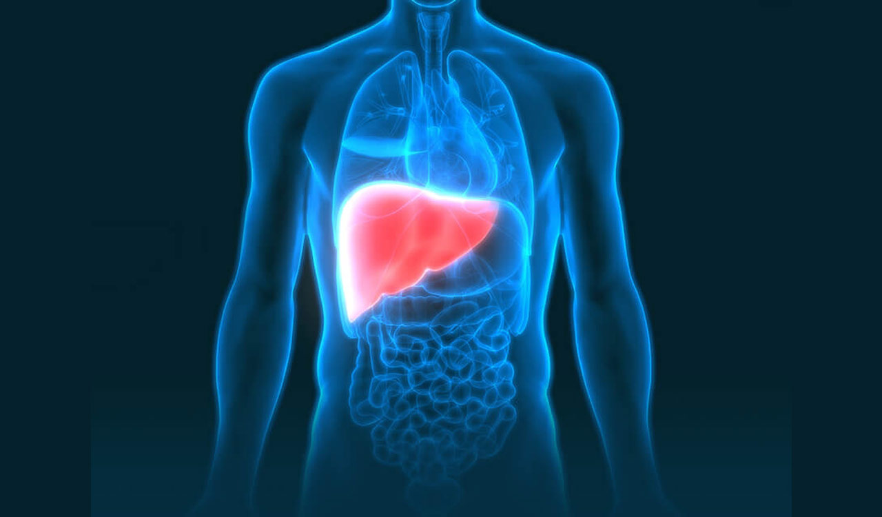 If a family member has Fatty Liver disease, you could be at risk too